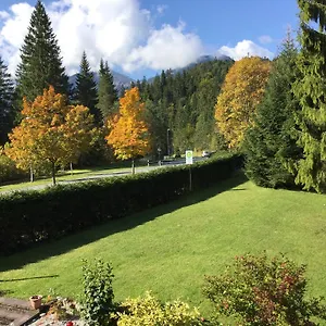 Alpine Blue Allemagne